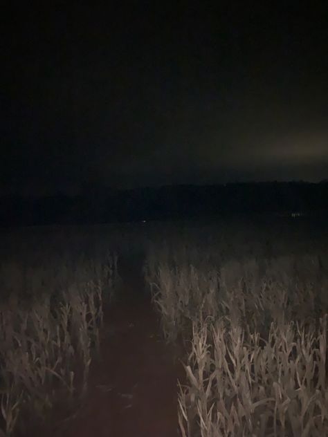 Halloween Corn Maze Aesthetic, Horror Backgrounds Aesthetic, Camcorder Footage Aesthetic, Indie Horror Game Aesthetic, Midwest Horror, Indie Horror Aesthetic, Horror Core Aestethic, Corn Maze Aesthetic, Backrooms Game