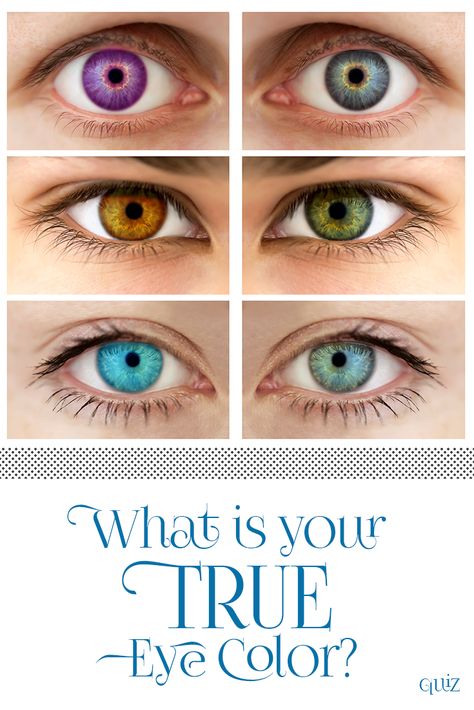 Do you have the charm of someone with baby blue eyes, or do you keep situations calm with your soothing brown irises? Take our quiz and discover which true eye color lies within your soul! Baby Blue Eyes, Color Quiz, Long Hair Tips, Model Citizen, Military Humor, Color Quotes, Baby Blues, Fun Quizzes, Irises