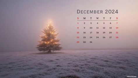 December 2024 Calendar Christmas Desktop Wallpaper. December 2024 Calendar Desktop Wallpaper, December 2024 Laptop Wallpaper, December 2024 Desktop Wallpaper, Christmas Wallpaper Hd Desktop, Christmas Desktop Wallpaper, Mac Backgrounds, Christmas Desktop, City Flowers, Christmas Backgrounds