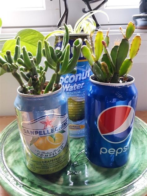 Portative Soda Can Planters: The Irresistible Power Of Recycling - Unique Balcony & Garden Decoration and Easy DIY Ideas Soda Can Flower Pot, Plants In Cans, Soda Can Planters, Soda Can Room Decor, Soda Can Recycle Ideas, Diy Soda Can Storage, Soda Can Decor, Recycle Aesthetic, Soda Can Diy