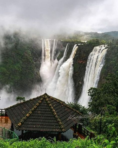 Jog Falls, Natural Waterfalls, Amazing India, Travel Picture Ideas, Beautiful Flowers Photos, Cool Pictures Of Nature, Beautiful Nature Pictures, India Travel, Beautiful Places To Visit