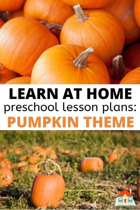 Dig into pumpkins with these free pumpkin-themed preschool lesson plans. With over 16 pumpkin themed activities, these hands-on and developmentally appropriate art, literacy, math, social, and more are great for your fall planning. Plus, they are available as a free download and require simple, everyday materials. It’s Pumpkin Day Mouse Activities, Pumpkin Theme Preschool Lesson Plans, Pumpkin Investigation Preschool, Kindergarten Pumpkin Activities, Pumpkin Theme Preschool, Pumpkin Activities For Toddlers, Pumpkin Themed Activities, Appropriate Art, Pumpkin Activities Kindergarten