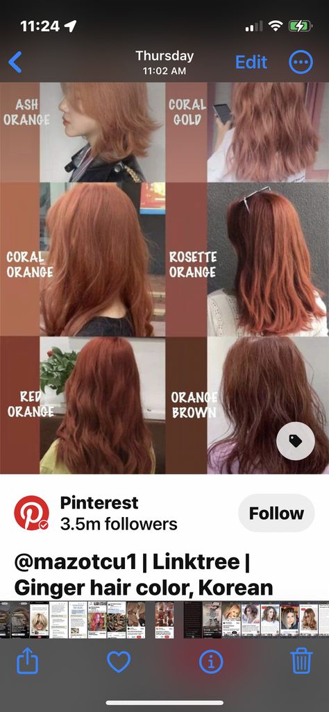 Dark Orange Hair Dye, Coral Brown Hair, Dark Coral Hair, Rosette Orange Hair, Coral Orange Hair, Asian Hair Dye, Brown Hair Korean, Dark Orange Hair, Orange Brown Hair