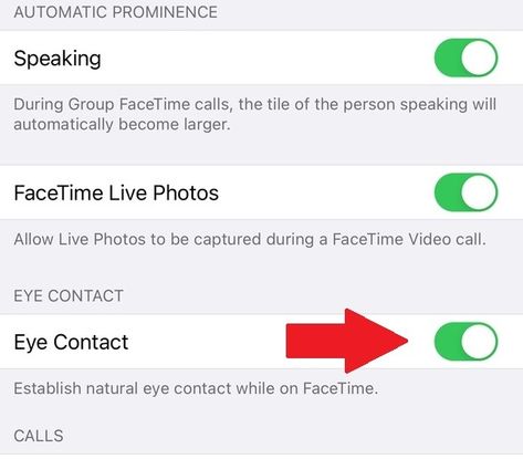 How to fake eye contact on a FaceTime call (yes, you can do that) Fake Facetime Call, Fake Facetime, Group Facetime, Fake Eye, Apple Technology, Natural Eyes, Eye Contact, Live Photo, My Eyes