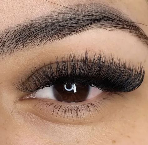 Long Cateye Eyelashes Extensions, Eyelash Extensions Volume Cat Eye, Cateye Eyelashes Extensions Volume, Volume Cateye Extensions, Volume Lash Extensions Styles Cat Eye, Cat Eye Russian Lashes, Cateye Volume Eyelash Extensions, Russian Volume Lashes Cat Eye, Eyelash Extensions Styles Volume