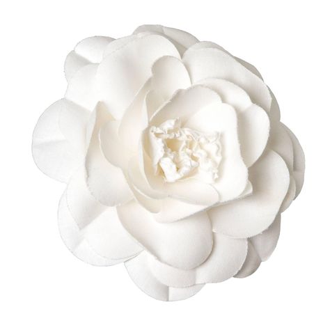 Camelia Chanel, Chanel Camellia Flower, Chanel Flower, Chanel Aesthetic, White Camellia, Chanel Brooch, Chanel Camellia, Flower Icons, Camellia Flower