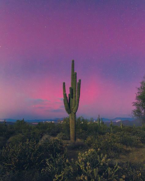 a little arizona borealis from last night 🫶🏻🌵 I can’t believe I’ve seen this so close to home twice this year. I was so close to the city, yet it was vivid and faintly visible to the eye. Close To Home, The Eye, Last Night, The City, This Year, Arizona, I Can, Canning, Quick Saves