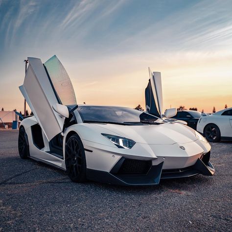 Lamoginie Car, White Sports Cars, White Cars, White Lambo, Xe Bugatti, White Lamborghini, Aventador Lamborghini, Sports Cars Lamborghini, Rich Cars