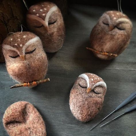 Tovad Ull, Felt Wool Ball, Needle Felted Owl, Hantverk Diy, Felt Owls, Needle Felting Diy, Needle Felted Christmas, Felting Ideas, In Progress