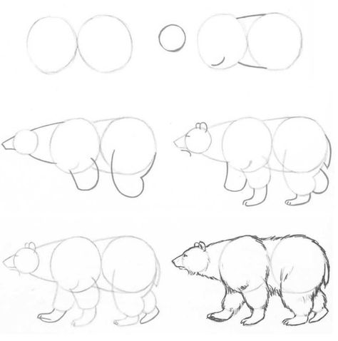 Bear Sketch, Magic Runes, Easy Animal Drawings, Pencil Drawings Of Animals, Easy Love Drawings, Drawing For Beginners, White Tattoo, Bear Art, Art Instructions