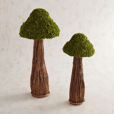 Moss Mushrooms | Pier 1 Imports Bunny Pillows, Moss Mushroom, Easter Banners, Easter Egg Decorations, Flower Fence, Easter Gift Ideas, Pop Up Dinner, Easter Arrangement, Mushroom Crafts