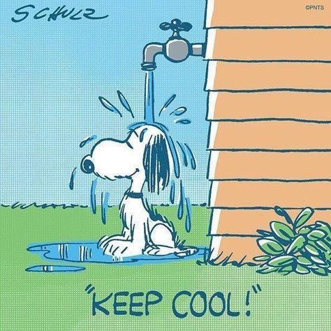 Hug Emoticon, Hot Weather Humor, Snoopy Cartoon, Snoopy Funny, Snoopy Images, Peanuts Cartoon, Snoopy Wallpaper, Snoopy Quotes, Snoopy Pictures