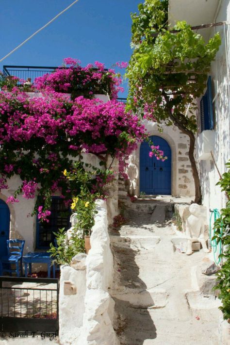 Sunny Blue Doors, Crete Island, Greek Isles, Crete Greece, Beautiful Doors, Bougainvillea, Greece Travel, Greek Islands, Oh The Places Youll Go