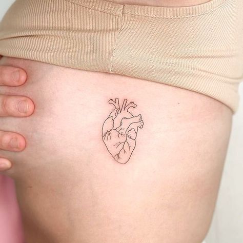 Anatomical Heart And Lungs Tattoo, Black And White Anatomical Heart Tattoo, Anatomical Heart Outline Tattoo, Heart Tattoo On Heart, Atomical Heart Tattoos Simple, Fineline Anatomical Heart Tattoo, Anatomical Heart Chest Tattoo, Tiny Anatomical Heart Tattoo, Biological Heart Tattoo