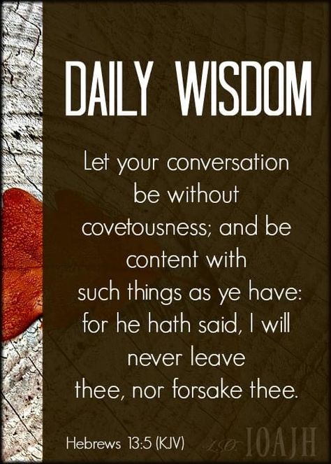 Hebrews Scripture, Daily Wisdom Quotes, Idealist Quotes, The Idealist Quotes, Verses For Women, Daughter Of A King, Bible Verses For Women, Thought For Today, Daily Wisdom