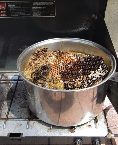 It is much easier than you think! The trick is to find the raw honeycomb that the process begins with. I suggest contacting local beekeepers and asking if they do anything with their old honeycomb. The honeycomb I used came… Beekeeping Equipment, Beekeeping For Beginners, Bee Hive Plans, Backyard Bee, Raising Bees, Backyard Beekeeping, Bee Keeper, Whole Foods Market, Bees Knees