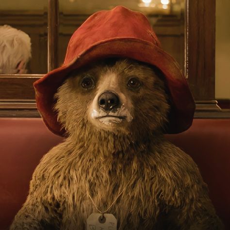 Paddington Movie Aesthetic, Pattington Bear, Paddington Movie, Paddington Film, Paddington Bear Toy, Oso Paddington, Paddington 2, Got Talent Videos, Film Icon