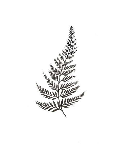 Ferns Tattoo Design, Small Fern Drawing, Foliage Tattoo Men, Small Fern Leaf Tattoo, Fern Ankle Wrap Tattoo, Wrap Around Fern Tattoo, Fern Tattoo Stencil, Fern Leaf Tattoo Design, Small Fern Tattoo Simple