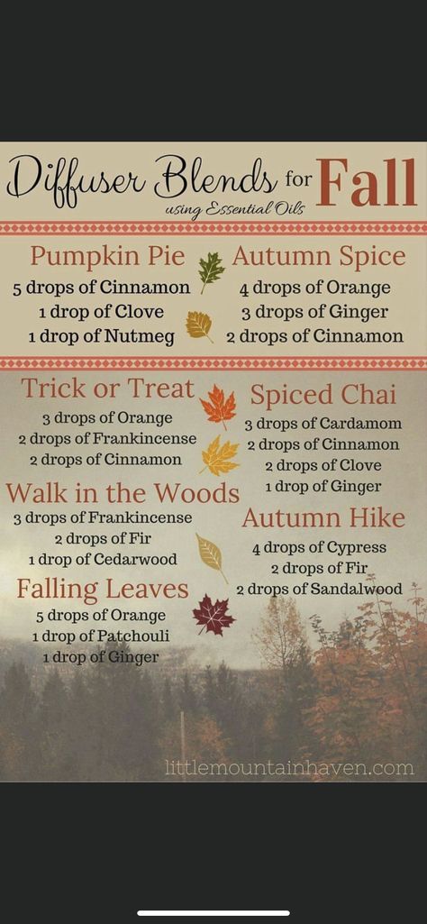 Fall Spices, Essential Oil Blend, Walk In The Woods, Diffuser Blends, Fall Leaves, Natural Organic, Essential Oil Blends, Oil Blend, Pumpkin Pie