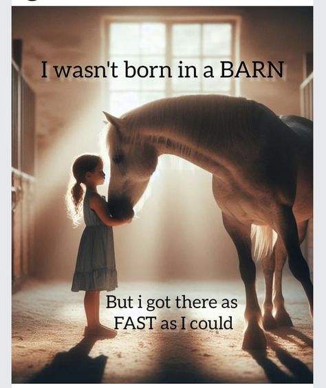 Western Horse Riding Aesthetic, Horse Girl Quotes, October Core, Cute Horse Quotes, Funny Horse Memes, Horse Memes, Cowgirl Quote, Horse Quotes Funny, Funny Horse Pictures