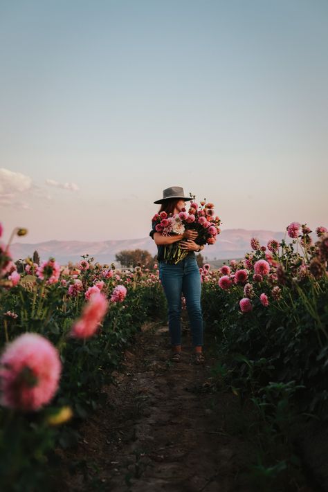 Flower Farmer Portrait, Dahlia Farm Photoshoot, Flower Farm Branding Photoshoot, Flower Farm Photography, Flower Farm Photoshoot Ideas, Dahlia Tips, Flower Farm Photoshoot, Brand Questionnaire, Homestead Photos