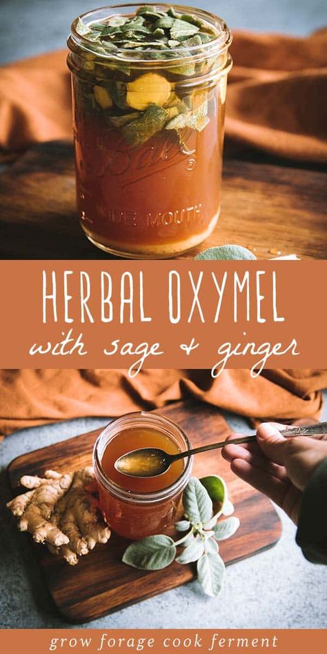 When fall comes, it's a good idea to start thinking about herbal remedies that will keep you healthy through winter. This herbal oxymel recipe with sage and ginger is easy to make and has many benefits for the immune system. It also happens to be deliciously sweet and sour! Ginger Honey Tincture, Herbal Oxymel Recipes, Herbal Eats, Oxymel Recipe, Sage Diy, Ginger Recipe, Sage Recipes, Herbal Health, Herbal Remedies Recipes