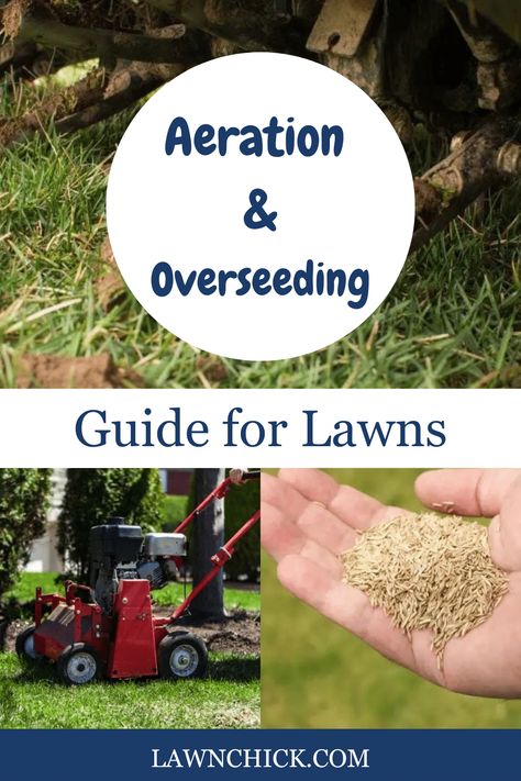 Aeration and overseeding are lawn care tasks that are key to achieving and maintaining a lush, green lawn. You'll discover all the aeration and overseeding pro tips you need in this blog post. We explain what aeration and overseeding are, and how they help your turfgrass. Plus, we'll talk about different kinds of aeration, so you can figure out which one is best for your property. Also, we'll explain why it can help to use aeration and overseeding together, and exactly how to do that. Lawn Aerators, Diy Lawn Aerator, Diy Aerator Lawn, Overseeding Lawn Spring, Aerating Your Lawn, Overseeding Lawn, Aerate Lawn, Pro Tip, Soil Improvement