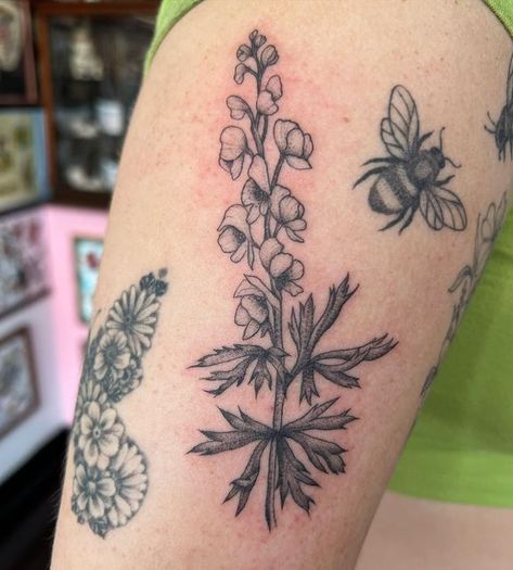 Wolfs Bane Tattoo, Wolfsbane Flower Tattoo, Wolfs Bane Flower Tattoo, Wolfsbane Drawing, Wolfsbane Tattoo, Minecraft Tattoo, Tattoo 2024, Tattoos Inspo, Accent Flowers