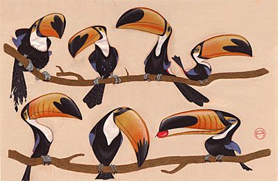 Toucan Illustration Toucan Character Design, Toucan Cartoon, Toucan Drawing, Toucan Illustration, Toucan Art, Children's Book Characters, Animal Caricature, Tropical Background, Wildlife Artwork