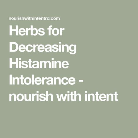 Herbs for Decreasing Histamine Intolerance - nourish with intent Herbs For Allergies, Histamine Intolerance Diet, Histamine Intolerance Symptoms, High Fiber Vegetables, Histamine Intolerance, Mast Cell Activation Syndrome, Low Histamine, Herbal Plants, Healthy Benefits