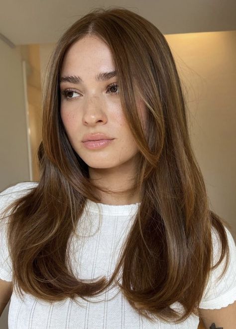 Rambut Brunette, Honey Brown Hair, Brown Hair Looks, Dreamy Aesthetic, Brown Hair Inspo, Layered Haircuts For Medium Hair, Hairstyles For Layered Hair, Hair 2024, Haircuts For Medium Hair