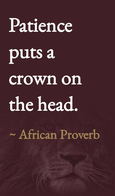 Lion Crown, African Quotes, Likeable Quotes, Brilliant Quote, Stoicism Quotes, Reality Of Life Quotes, African Proverb, Man Up Quotes, Proverbs Quotes