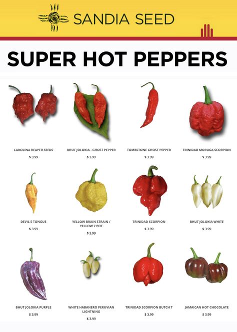 Hottest Peppers in the World – Sandia Seed Company Hot Pepper Chart, Fermented Hot Sauce Recipe, Types Of Peppers, Hot Pepper Seeds, Hot Sauce Recipes, Carolina Reaper, Hot Peppers, Hottest Chili Pepper, Pepper Seeds