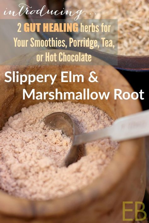 Slippery Elm Powder, Eat Beautiful, Marshmallow Root, Slippery Elm, Herbal Healing, Herbs For Health, Gut Healing, Healing Food, Natural Health Remedies