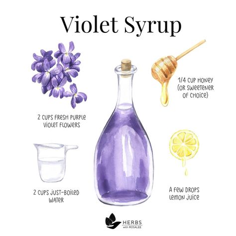 Potions Recipes Witchcraft, Magic Potion Recipe, Witchy Drinks, Herbal Syrups, Herbal Potions, Apothecary Recipes, Diy Syrup, Violet Syrup, Cottagecore Recipes