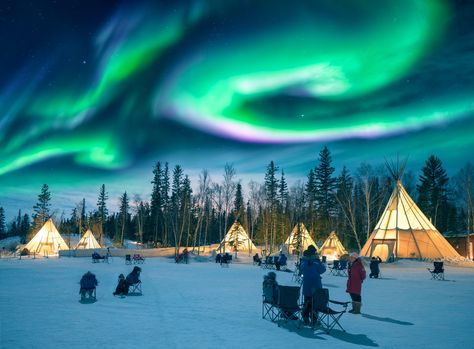 Amazing northern lights dancing over the tepees at Aurora Village in Yellowknife. Aurora Village, Northern Lights Canada, 7 Natural Wonders, See The Northern Lights, Tromso, Trondheim, Seven Wonders, Alvar Aalto, The Aurora