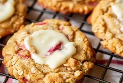 Rhubarb Cookies Chocolate Rhubarb Brownies, Rhubarb Biscotti, Rhubarb Cookies Oatmeal, Rhubarb Cookies Recipes, Rhubarb Oatmeal Cookies, Rhubarb Bars Recipes, Recipes Rhubarb, Rhubarb Oatmeal, Rhubarb Cookies