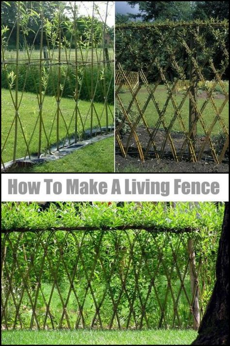 Teen sellise aia pajust, aga kompostihunniku ümber. Võiks huvi pärast ka toomingatest proovida. Willow Living Fence, Living Fence Ideas Fast Growing, Living Fence Fast Growing, Living Willow Fence, Living Fences, Fences Alternative, Willow Fence, Formal Garden Design, Willow Garden