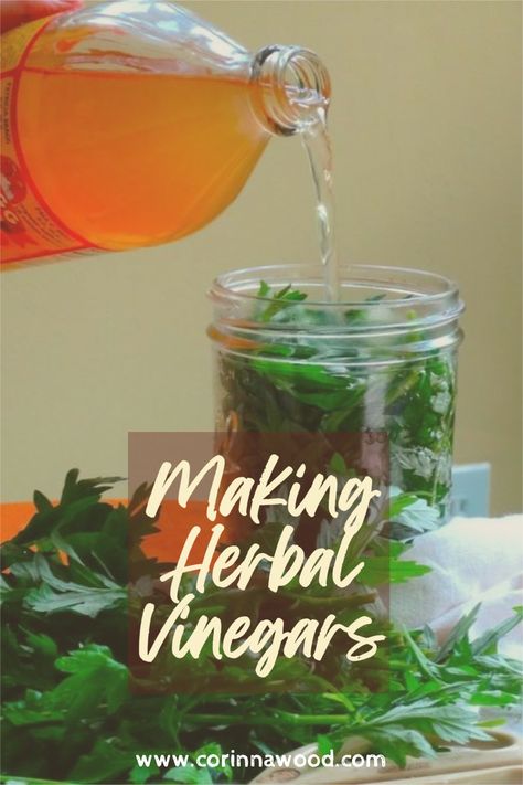 Herbal vinegars are a staple in the wise woman kitchen. Because of its acidity, vinegar is the best medium for extracting the minerals from nutritious wild plants. You can easily make these vinegars yourself by following these tips! Herbal Vinegars, Herbal Vinegar, Wise Woman, Herbal Tinctures, Magical Herbs, Vinegar Cleaning, When You Sleep, Wise Women, Wild Plants