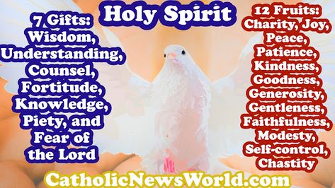 Catholic News World - HOME  : What are the 7 Gifts of the Holy Spirit and the 12... Fruits Of The Holy Spirit, Gifts Of The Holy Spirit, Catholic Sacraments, Church Catholic, Faith Formation, Holy Father, Holy Mary, What Is The Difference Between, Fruit Of The Spirit