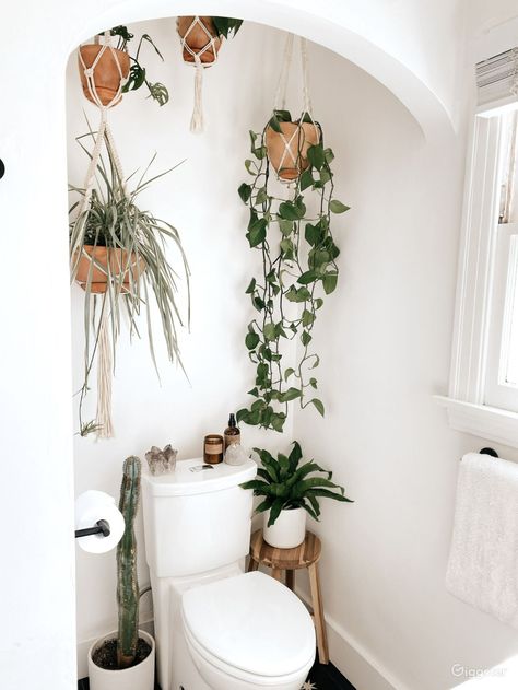 Bathroom Nook, Ericeira Portugal, Boho Style Bathroom, Cheap Plants, Bohemian Bathroom, Plant Tips, Chinese Money Plant, Hanging Plants Indoor, Macrame Plant Holder