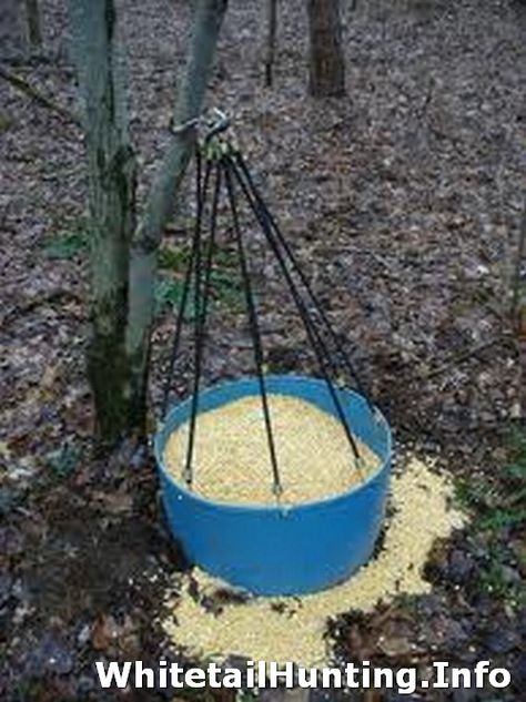 Trap. Shed Hunting, Deer Blinds, Antler Hunting, Deer Feeders, Deer Antler Crafts, Hunting Stands, Whitetail Hunting, Deer Stands, Hunting Ideas