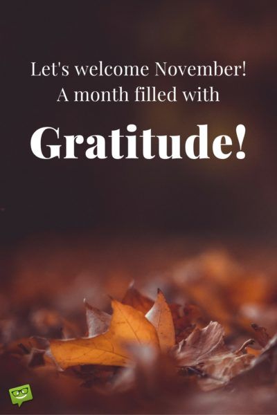 Let's welcome November!  A monthe filled with Gratitude! Happy New Month November Quotes, November Welcome Quotes, November Post Ideas, November Month Quotes, November Quotes Thankful, Happy November Quotes, Welcome November Quotes, November Sayings, November New Month