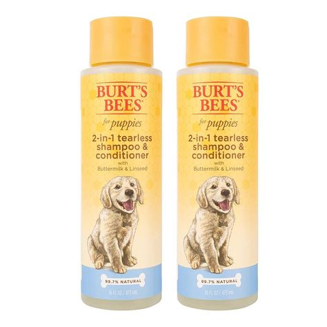 Burt's Bees for Dogs Natural Tearless 2 In 1 Dog Shampoo & Conditioner with Buttermilk and Linseed Oil | Gentle & Safe for Puppies | pH Balanced for Puppies - Made in USA, 16 Oz - 2 Pack Dog Skin Care, Puppy Shampoo, Dog Soap, Bee Dog, Dog Conditioner, Puppy Portraits, Good Shampoo And Conditioner, Dog Smells, Dog Grooming Supplies