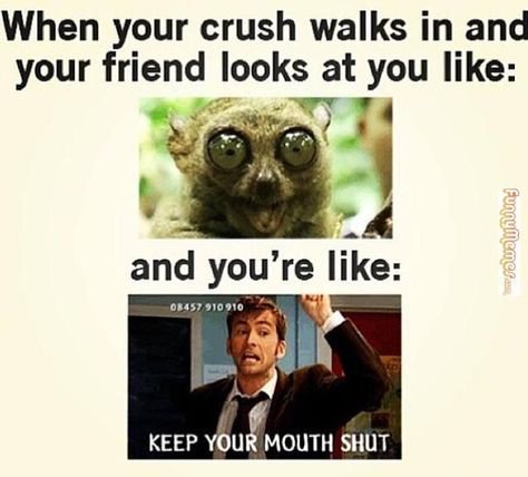 Crush On Someone You Barely Know, Funny Crush Memes, Lol So True, Laughing Funny, When Your Crush, Relationship Stuff, Crush Memes, Relatable Posts, Memes Humor