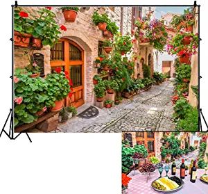 Italian Themed Party, Italy Town, Wedding Photo Background, Italian Themed Parties, Italian Theme, Travel Party Theme, Party Photo Backdrop, Photography Spring, Medieval Village