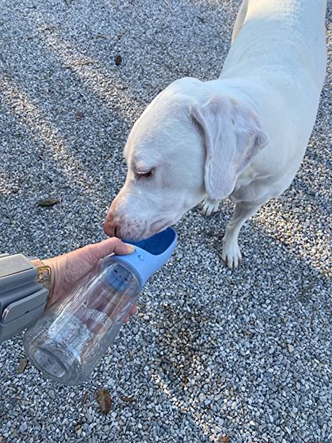 The perfect portable water bottle for Bo. Mr. Pen portable dog water bottle is foldable, small, lightweight, and does not take up space, and it can be put in a bag when going out. Our portable water bottle for dog is made of food-grade, non-toxic material. It can store 19 oz of water. Colorful Hairstyles, Dog Water Dispenser, Dog Water Bottle, Portable Water Bottle, Water Dispenser, Big Dogs, Amazon Finds, A Bag, Best Dogs