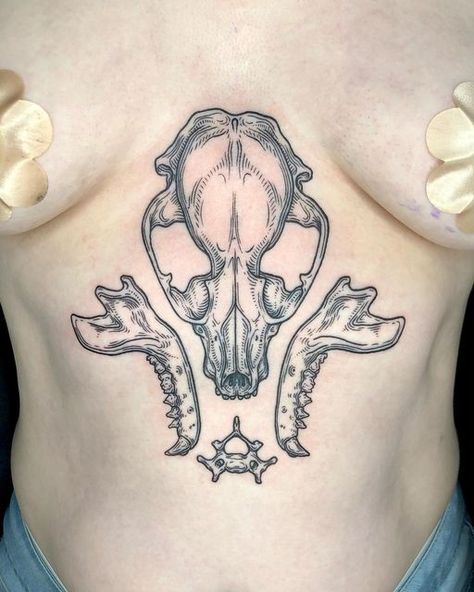 Katy Wiedemann on Instagram: "Raccoon bones from my flash! Thanks for getting this one and for sitting so well! . . . . . #raccoontattoo #skulltattoo #sternumtattoo #odditytattoo #anatomytattoo #naturetattoo #femaletattooer #femaletattooartist #ladytattooer #ladytattooers #phillytattoo #phillytattooartist #wilmingtontattoo #tttism #blkttt #blackworker #blackworkerssubmission #blackworktattoo #scientificillustration #onlythedarkest #occultarcana #darkartists #thedarkestwork #anatomicaltattoo #me Katy Wiedemann, Dog Jaw Bone Tattoo, Anatomical Bone Tattoo, Animal Jaw Tattoo, Tattoo Ideas Bones, Cat Jaw Bone Tattoo, Wet Specimen Tattoo, Skeleton Chest Tattoo, Animals Skull Tattoo