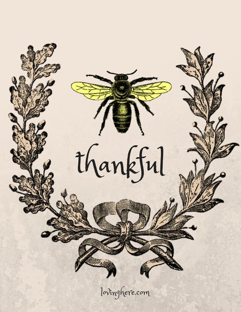 Thankful Printable, Spring Printables Free, Bee Thankful, Thankful Sign, Bee Printables, Stencils For Wood Signs, Secret Sisters, Spring Printables, Free Friends