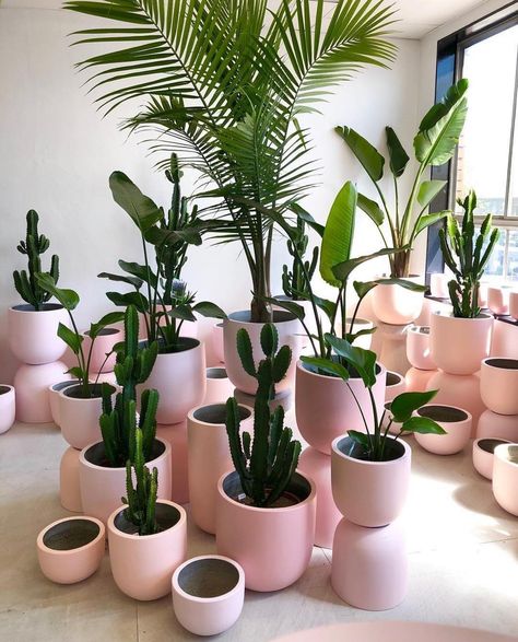 Hello Plant Lover on Instagram: “THEME. We love a pleasantly pink one. Keeping a colour theme could be fun, for one’s store and home. What’s your favourite colour? Image by…” Plant Pot Design, Greenery Decor, Painted Plant Pots, Diy Plant Stand, Pot Designs, Diy Plants, Plant Mom, Painted Pots, Plant Life